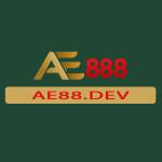 AE888 DEV Profile Picture