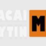 Nhacaiuytinmoi Profile Picture