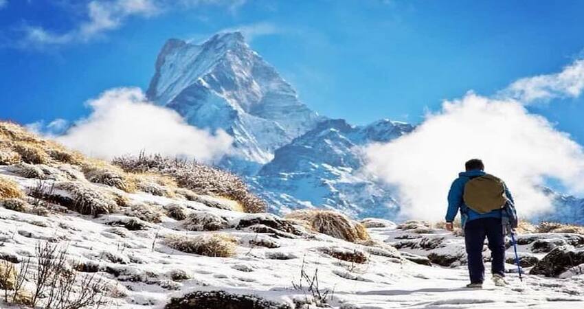 Guide to Mardi Himal Trek | Mardi Trekking Cost 2023-2024