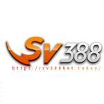 SV388 bet Profile Picture