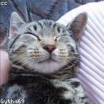 Isabelle Dooley Profile Picture