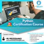 Python Training Profile Picture