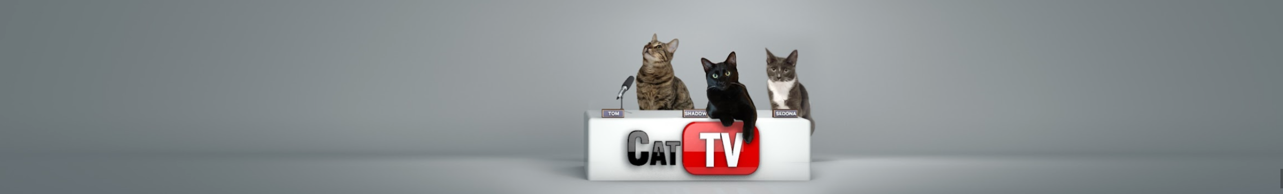 CAT TV GAMES - CAT TV Games
