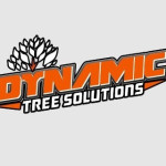 DYNAMIC TREE SOLUTIONS Profile Picture