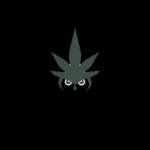 Weed Kaufen Profile Picture