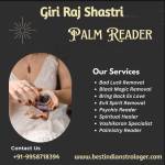 Best Indian Astrologer in USA profile picture