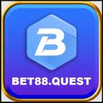 bet88 quest Profile Picture