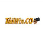 taiiwinco Profile Picture