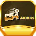 c54 works Profile Picture