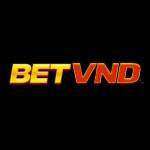 Betvnd Asia Profile Picture