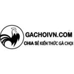 Gà chọi Việt Nam Profile Picture