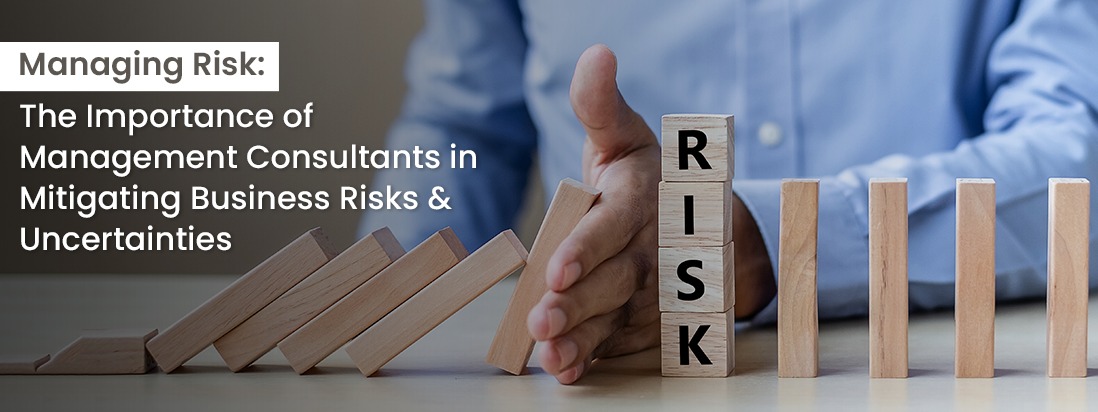 Risk Management Consultant | Business Risk Management Consulting | Business Risk Management Consultant | Risk Management Consultants - Sanegenc
