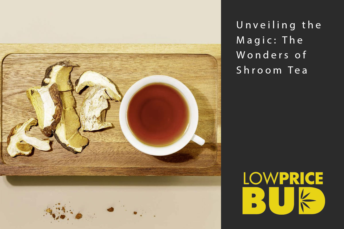 Unveiling the Magic: The Wonders of Shroom Tea - Low Price Bud