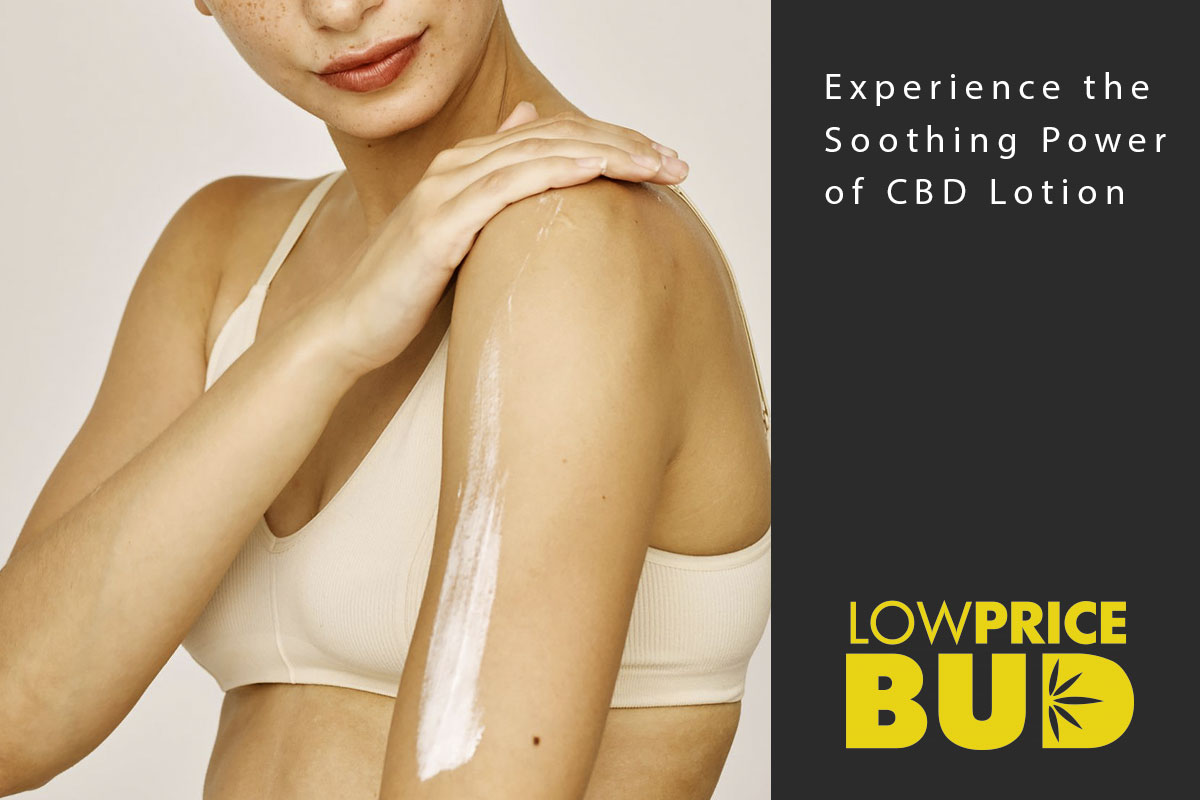 Experience the Soothing Power of CBD Lotion - Low Price Bud