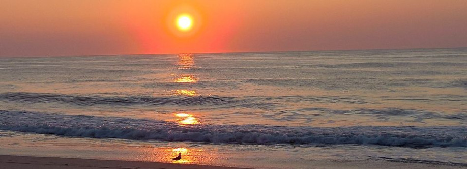 Ocean City Maryland Webcams Cover Image