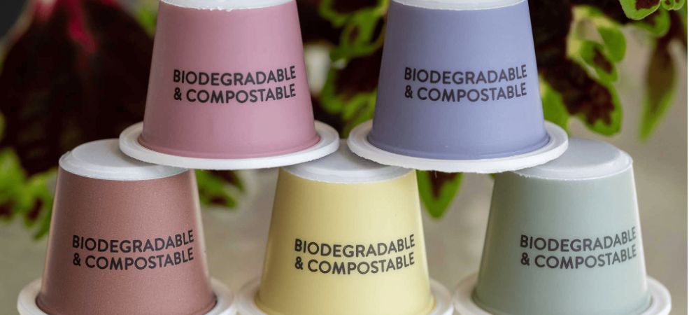 Buying Compostable Cups Wholesale: Complete Cheat Sheet