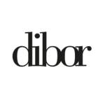 Dibor Homes profile picture