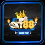 SKY88 TUBE profile picture