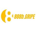 888bgripe Profile Picture