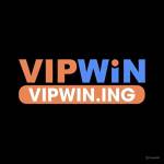 vipwin ing Profile Picture