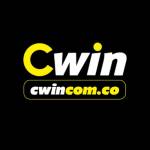 Cwincom co Profile Picture