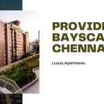 Provident Bayscape Profile Picture