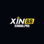 xin886 pro Profile Picture