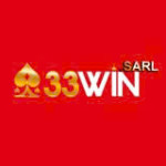 33win sarl Profile Picture