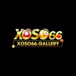 Xoso66 Gallery Profile Picture