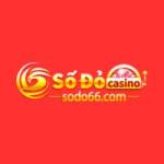 Sodo66 Tours Profile Picture