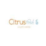 Citrus Fresh Carpet Cleaning Profile Picture