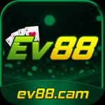 EV99 cam Profile Picture