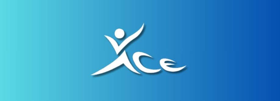 Ace Volleyball Academy Profile Picture