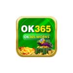 Ok365 works Profile Picture