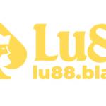 lu88 lu88black Profile Picture