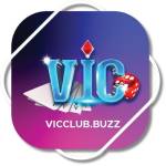 Vicclub Buzz Profile Picture