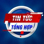 Tin tức tổng hợp Profile Picture