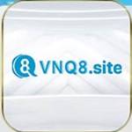 vnq8 site Profile Picture