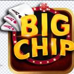 bigchip net Profile Picture