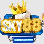 SKY88 Profile Picture