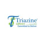 Triazine Software Pvt. Ltd Profile Picture