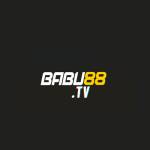 Babu88 Bookmaker home page Profile Picture