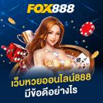 fox888mn Profile Picture