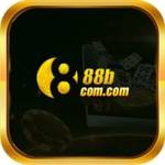 88bcomcom Profile Picture