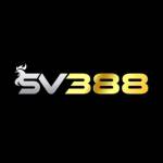 SV388 Profile Picture