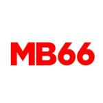 MB66 Hệ Thống Profile Picture