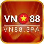 VN 88 Profile Picture