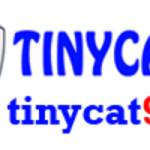 tinycat99ac Profile Picture