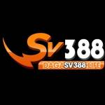 dagasv388life Profile Picture