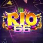 rio66poker Profile Picture